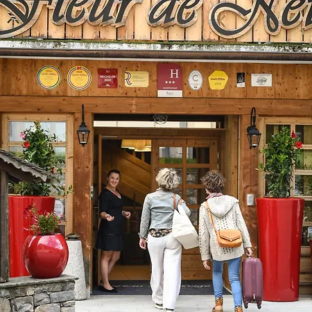 Hotel Fleur De Neige Chatel