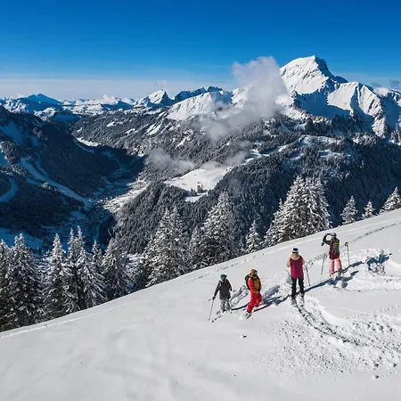 Fleur De Neige Chatel Hotel 3*
